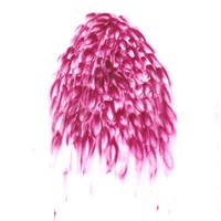 4 Pastel rose sur calque 21x30cm, 2006( morceaux J Frémon)